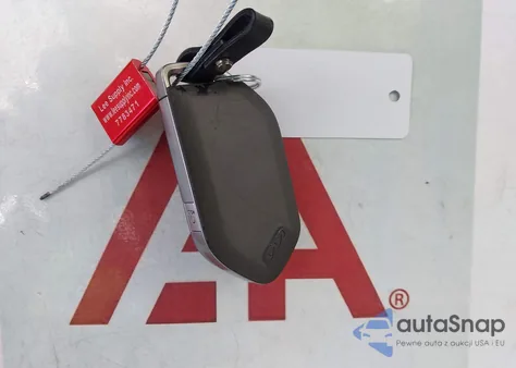 2025 Kia Telluride Ex from USA, damaged, VIN 5XYP34GC4SG578581